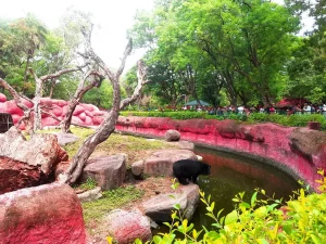 Bear Nehru Zoological Park, Hyderabad