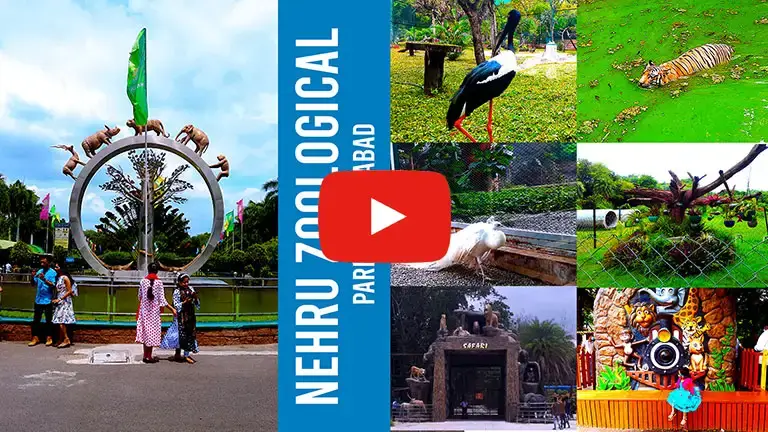 Nehru Zoological Park, Hyderabad