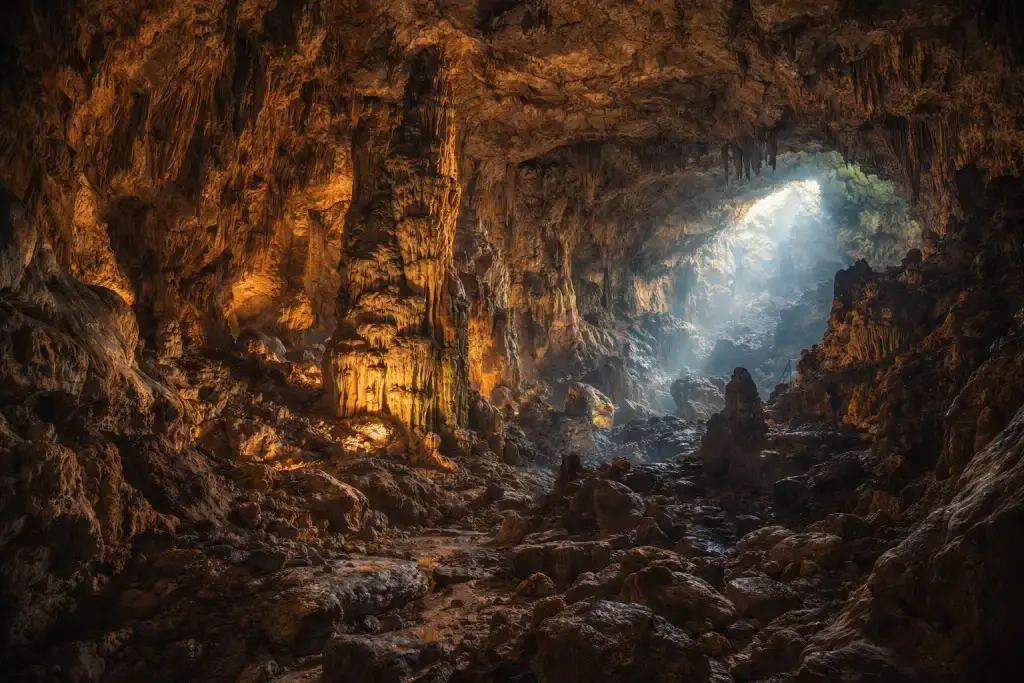 Araku Valley coffee plantations with tribal farming and green hills