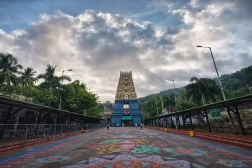 Varaha Lakshmi Narasimha Swamy idol Simhachalam